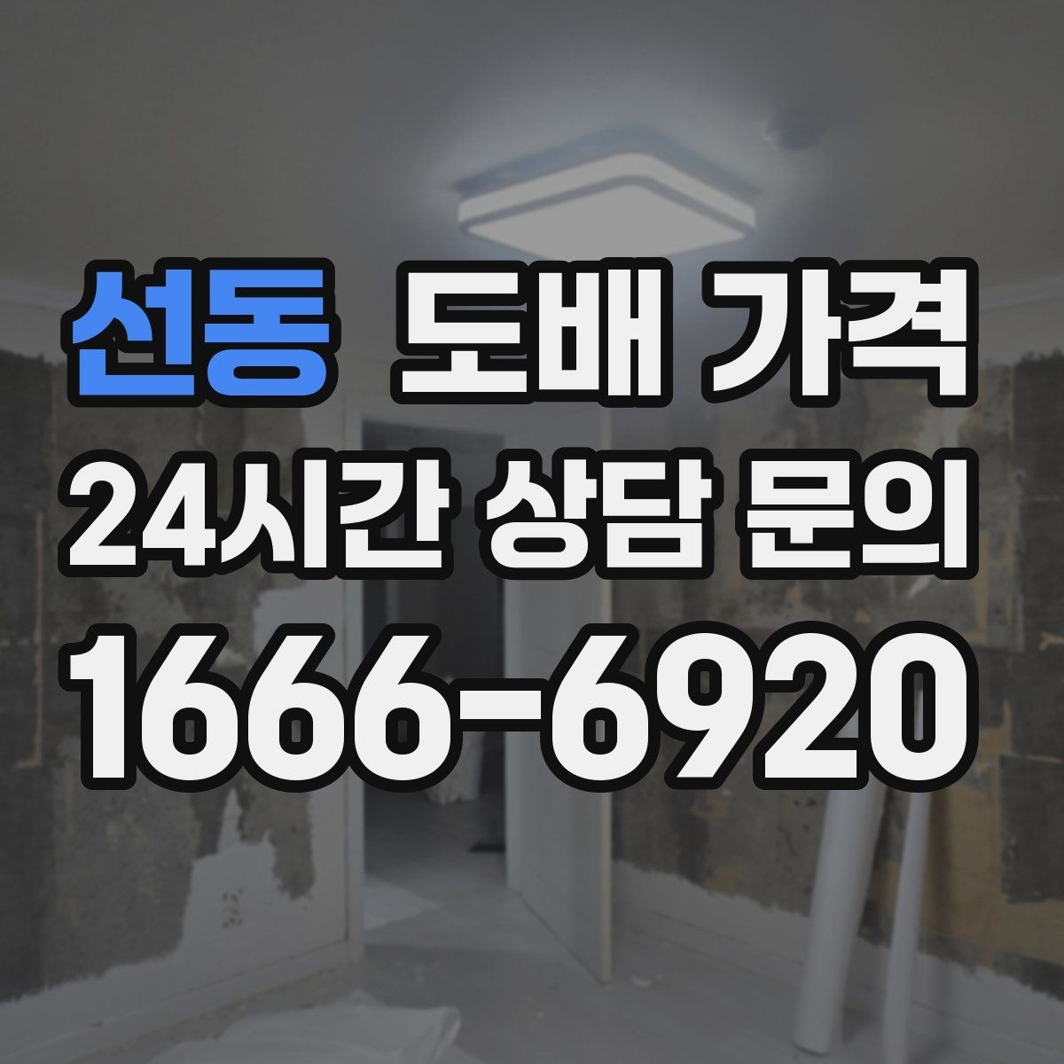 선동 도배 가격 결정 전 벽지 샘플 확인하기