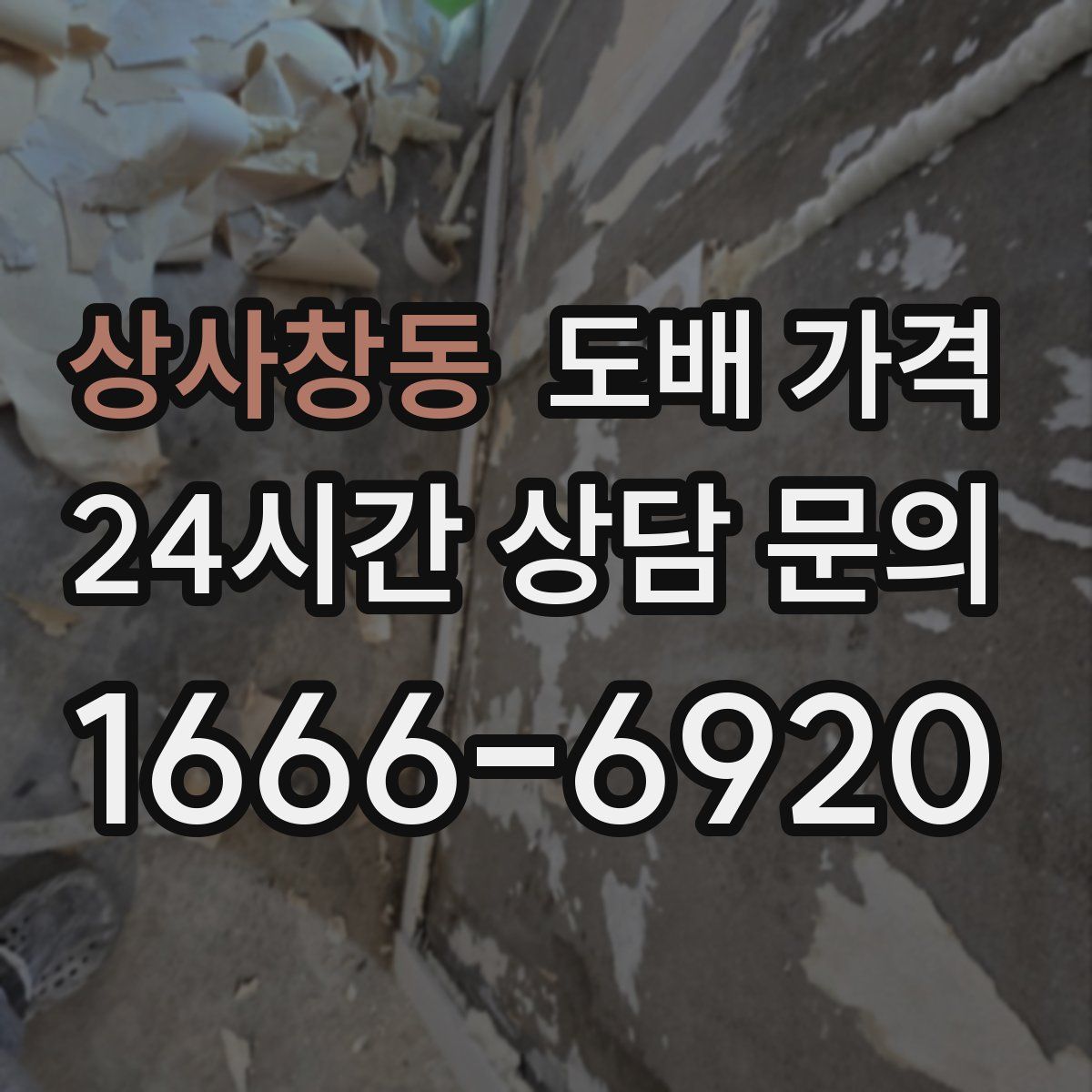 상사창동 도배 가격