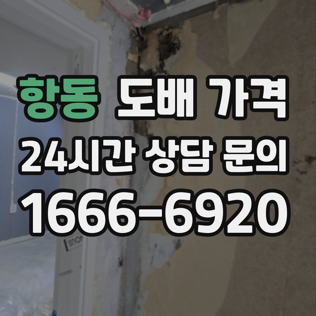 항동 도배 가격