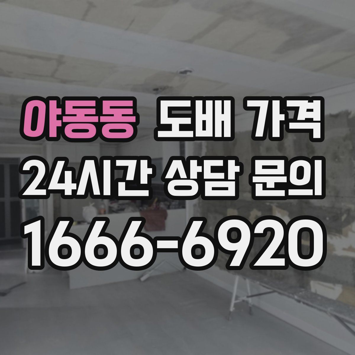 야동동 도배 가격