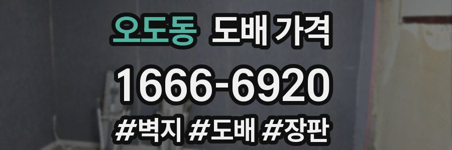 오도동 도배 가격