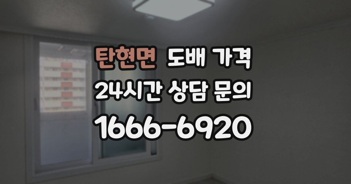 탄현면 도배 가격