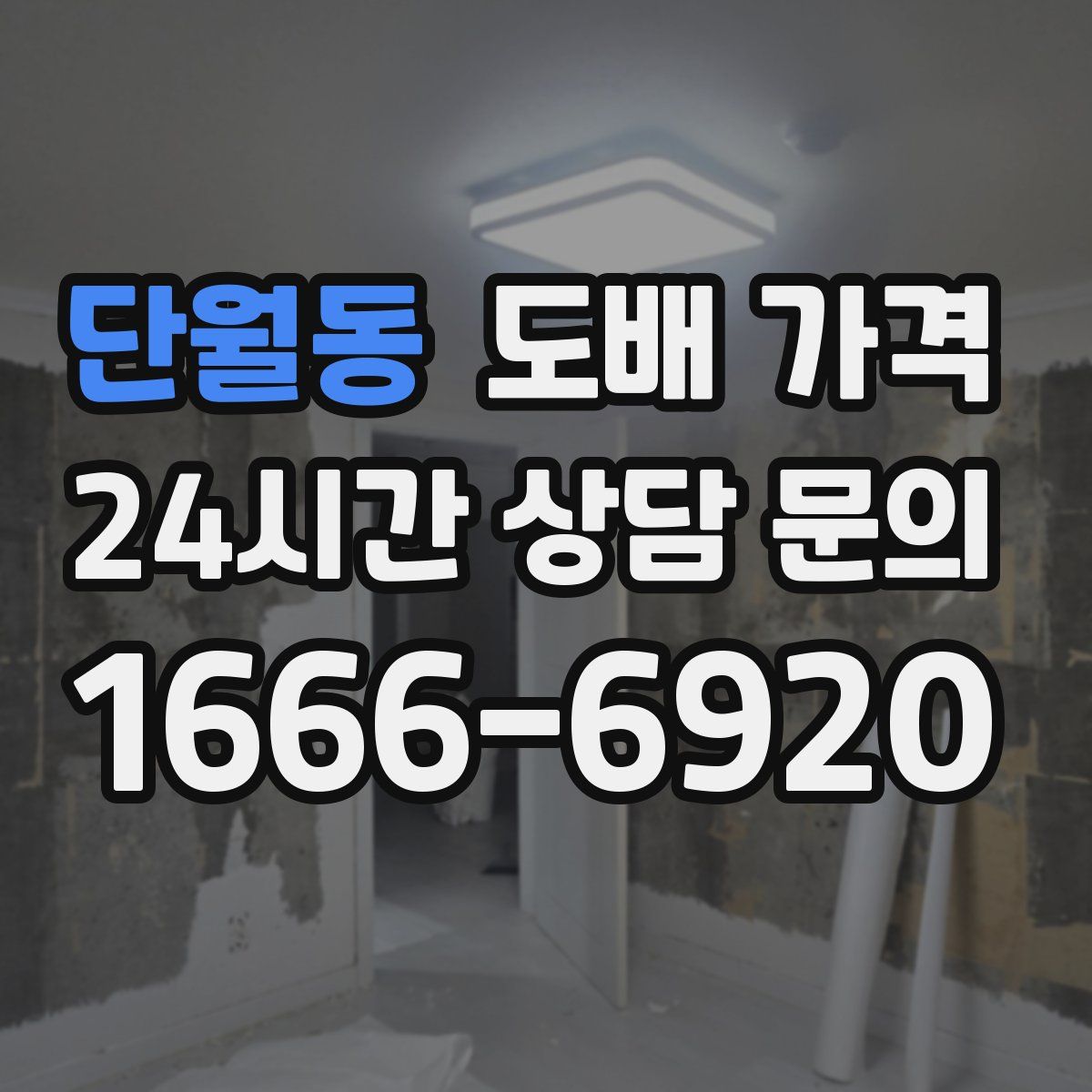 단월동 도배 가격