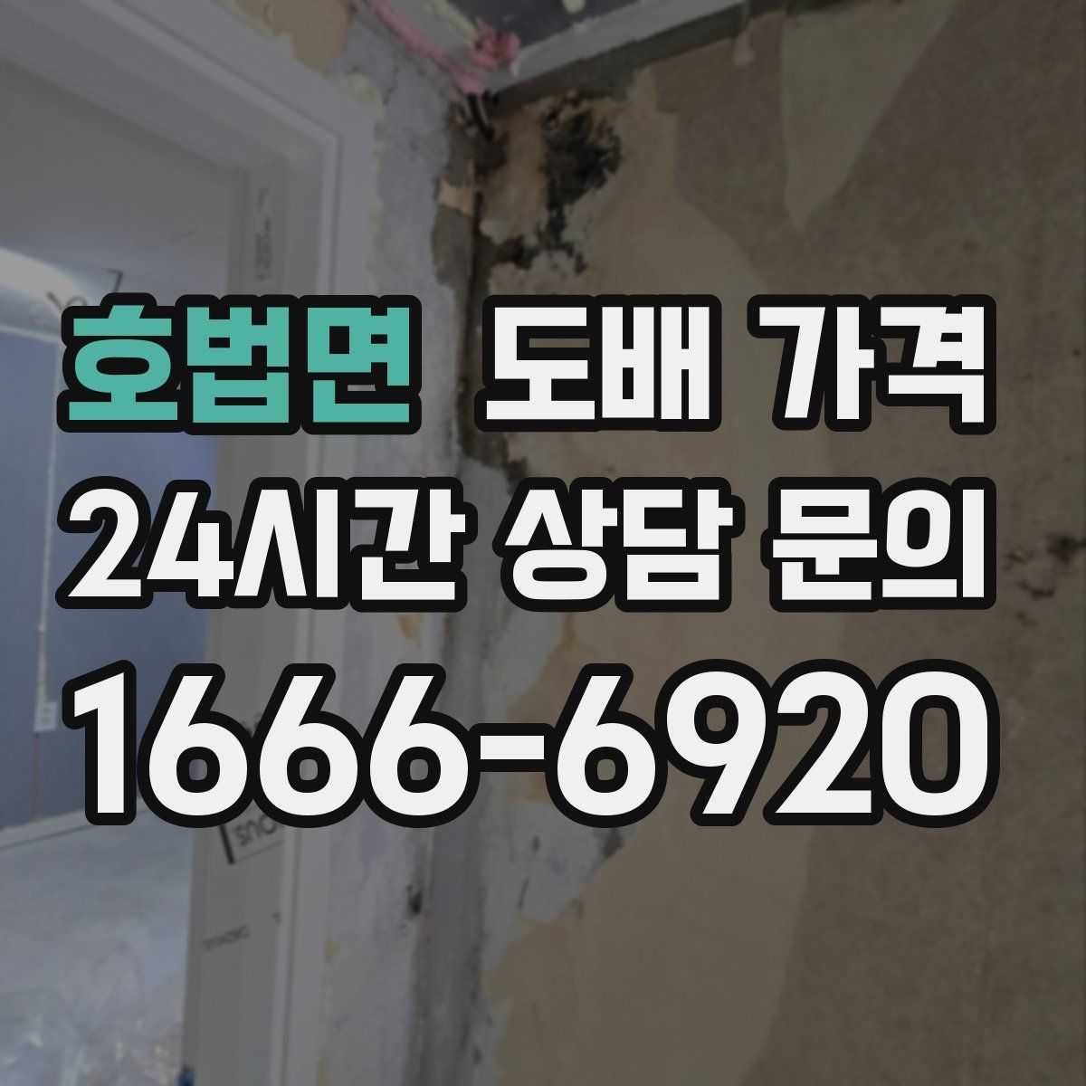 호법면 도배 가격