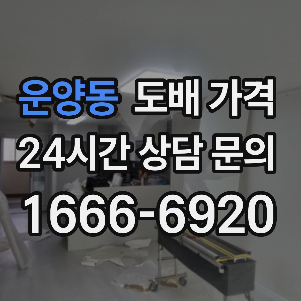 운양동 도배 가격