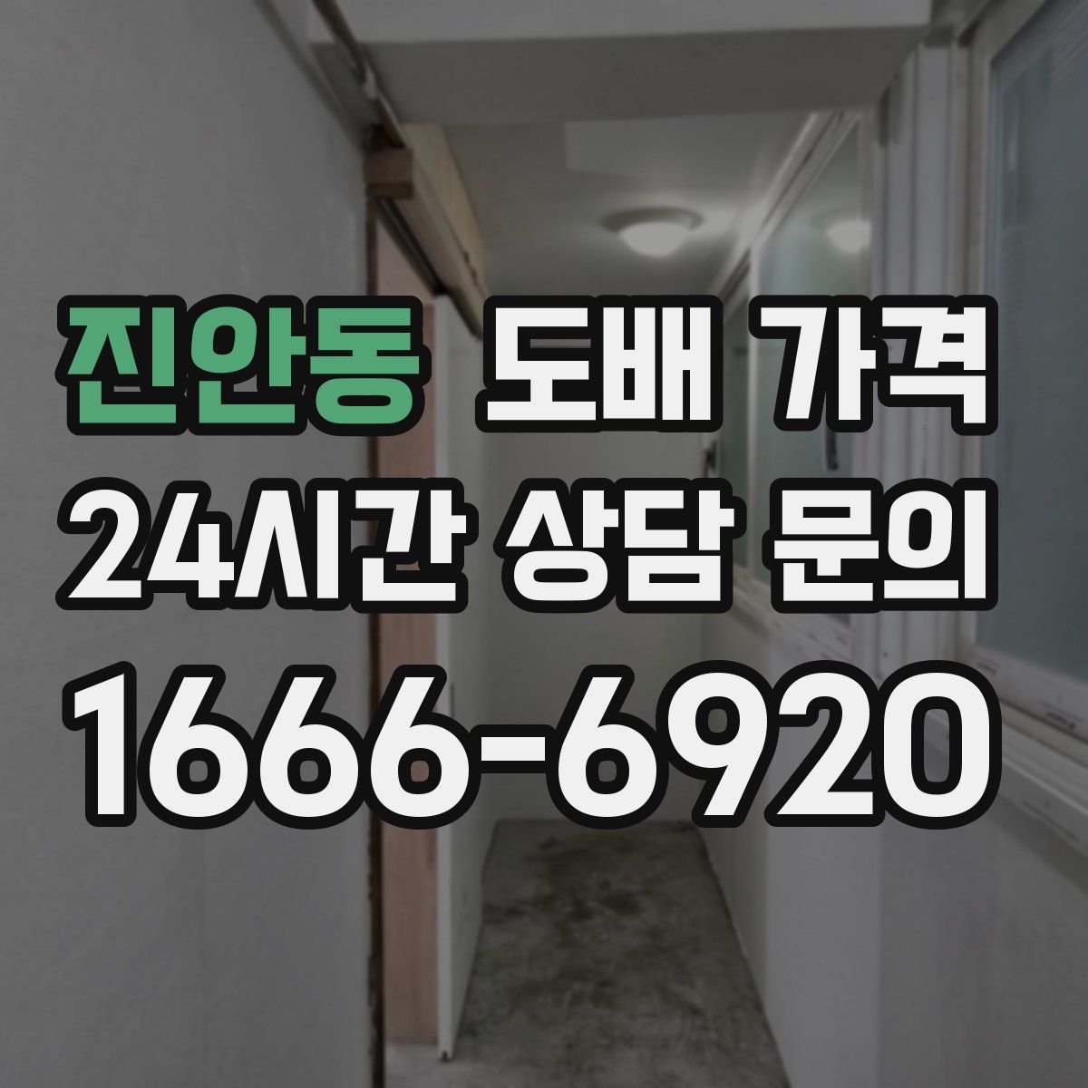 진안동 도배 가격