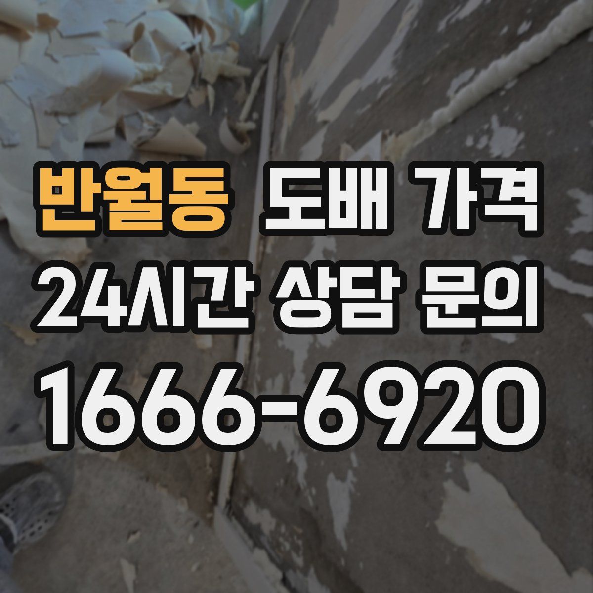 반월동 도배 가격
