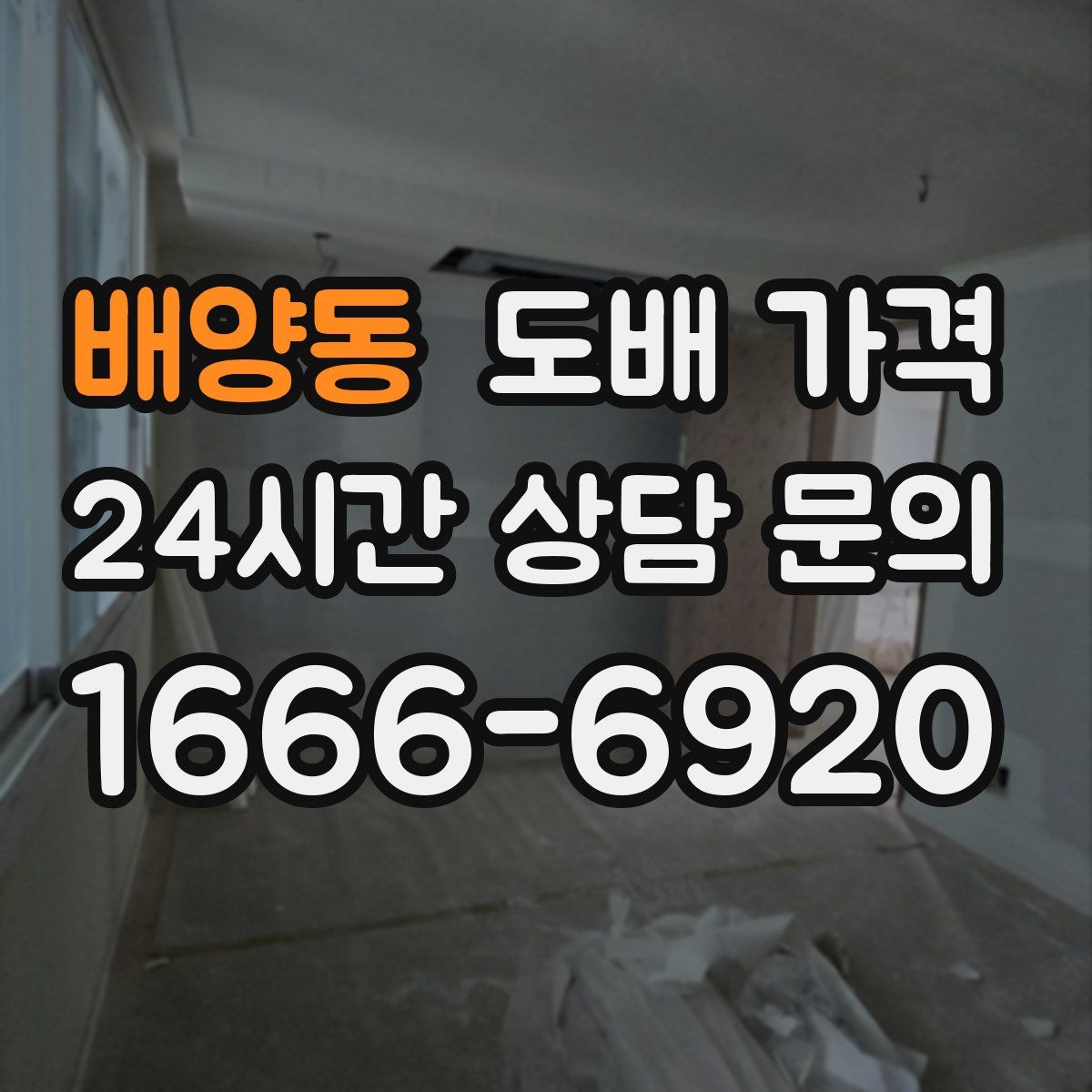 배양동 도배 가격