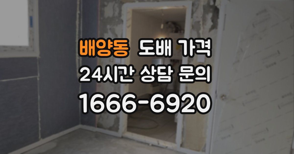 배양동 도배 가격