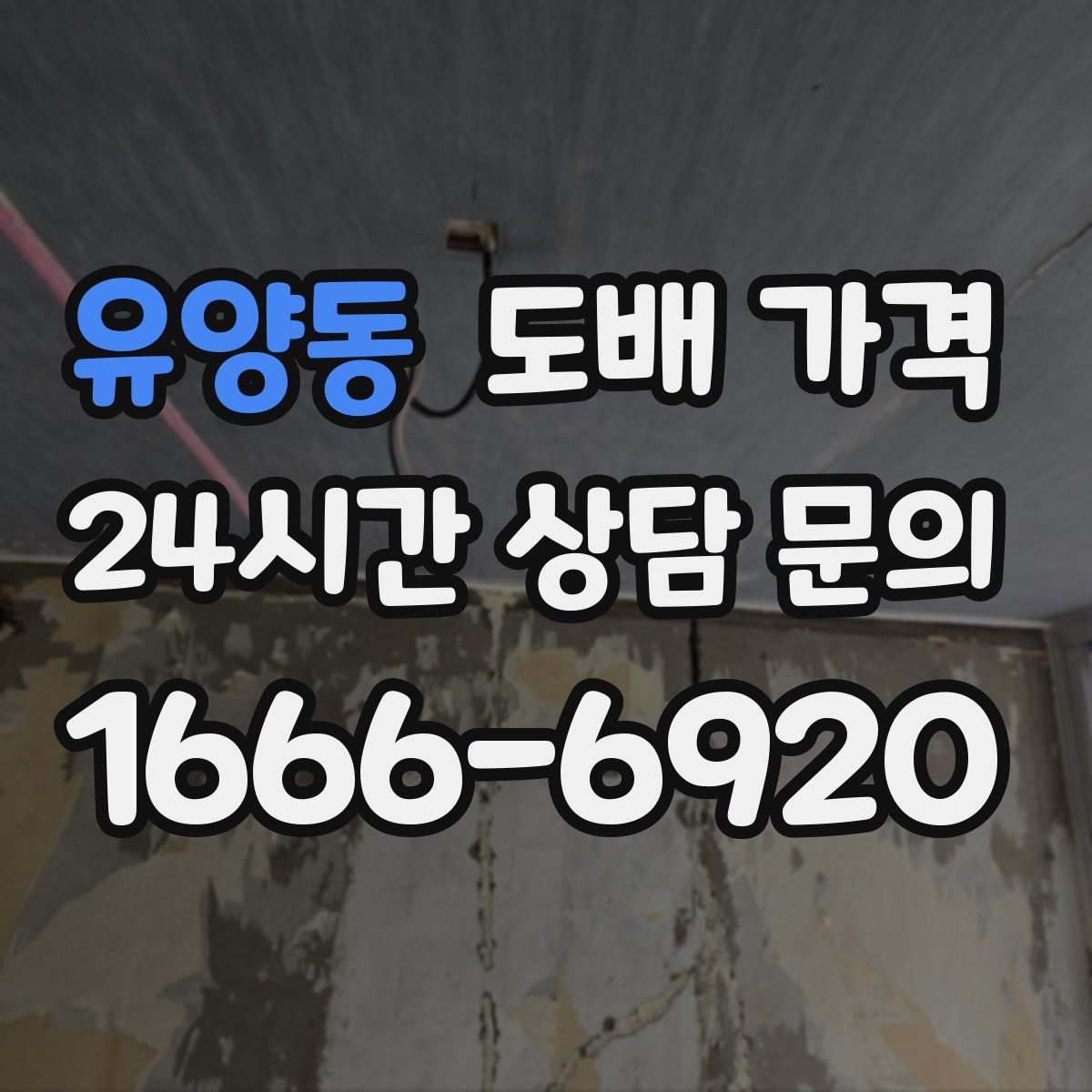 유양동 도배 가격
