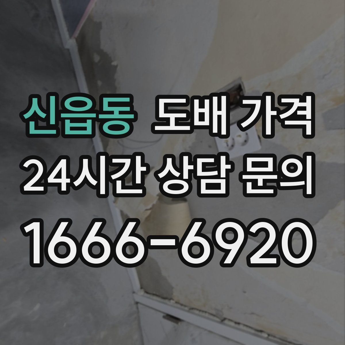 신읍동 도배 가격