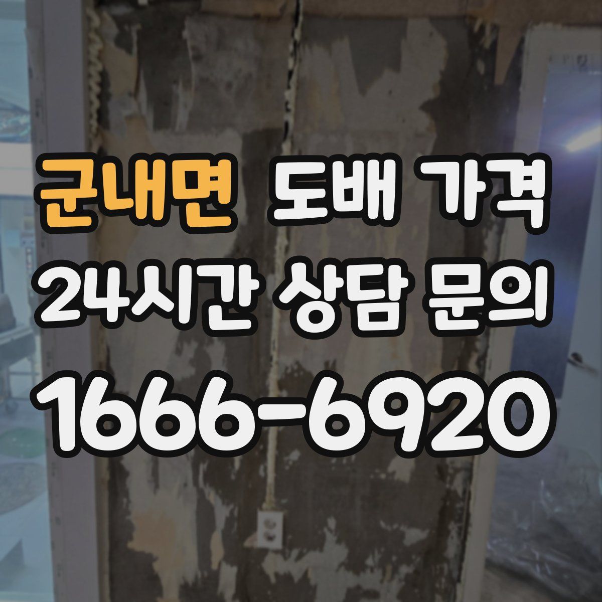 군내면 도배 가격