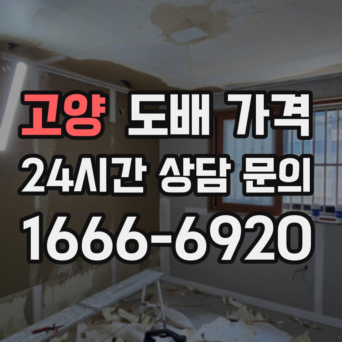 고양 도배 가격