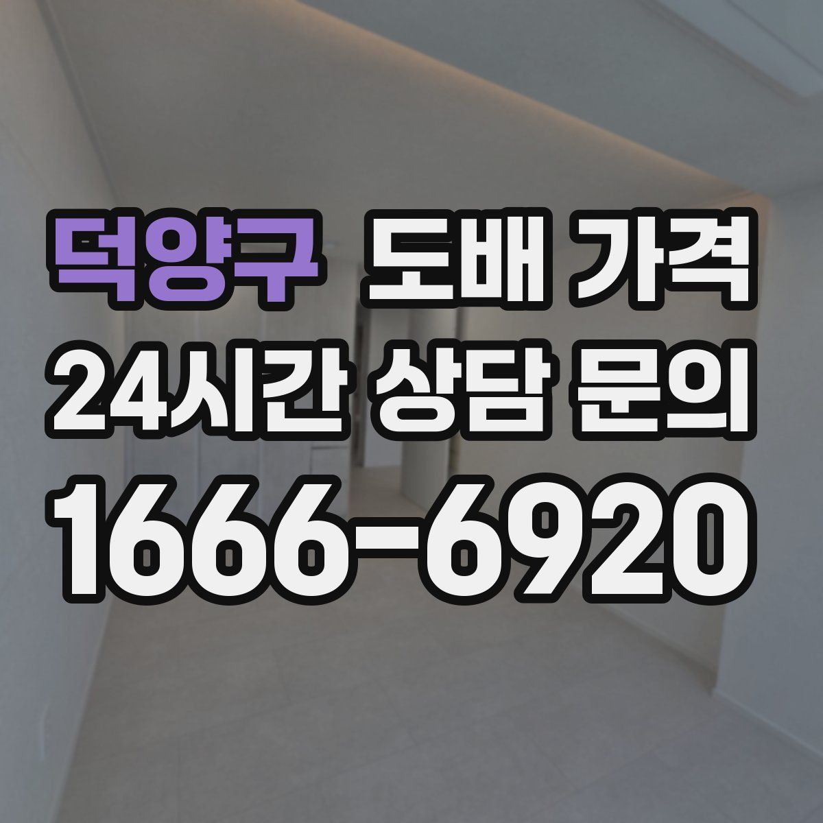 덕양구 도배 가격