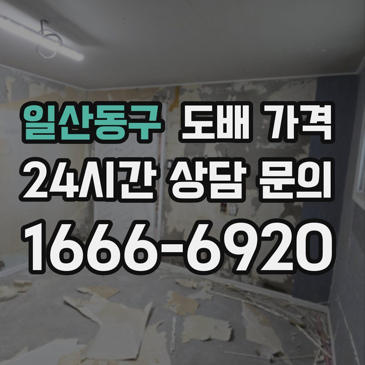 일산동구 도배 가격
