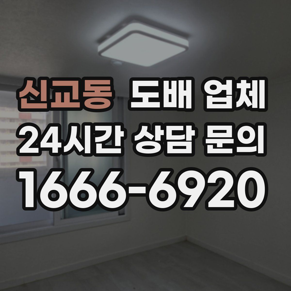 신교동 도배 업체