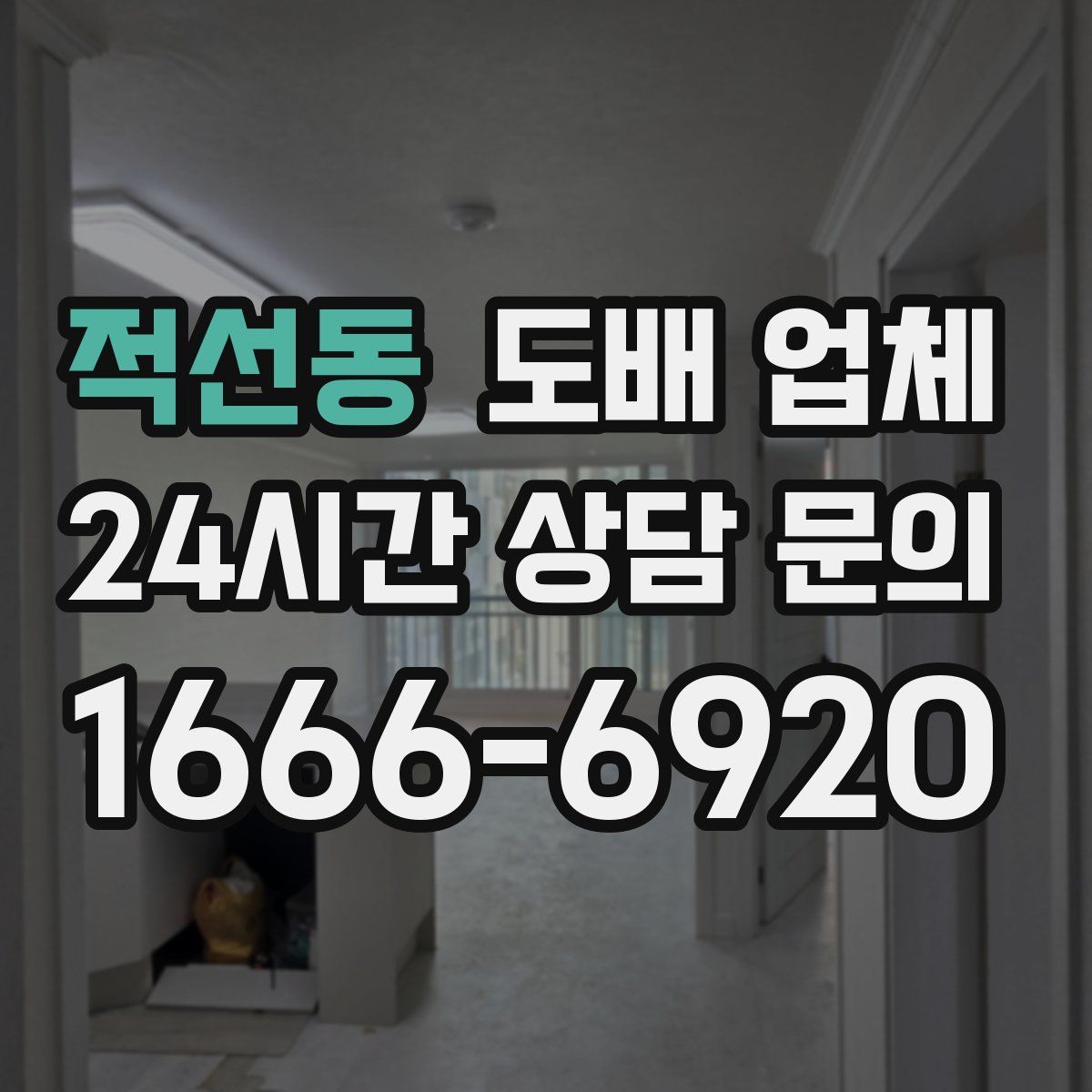 적선동 도배 업체