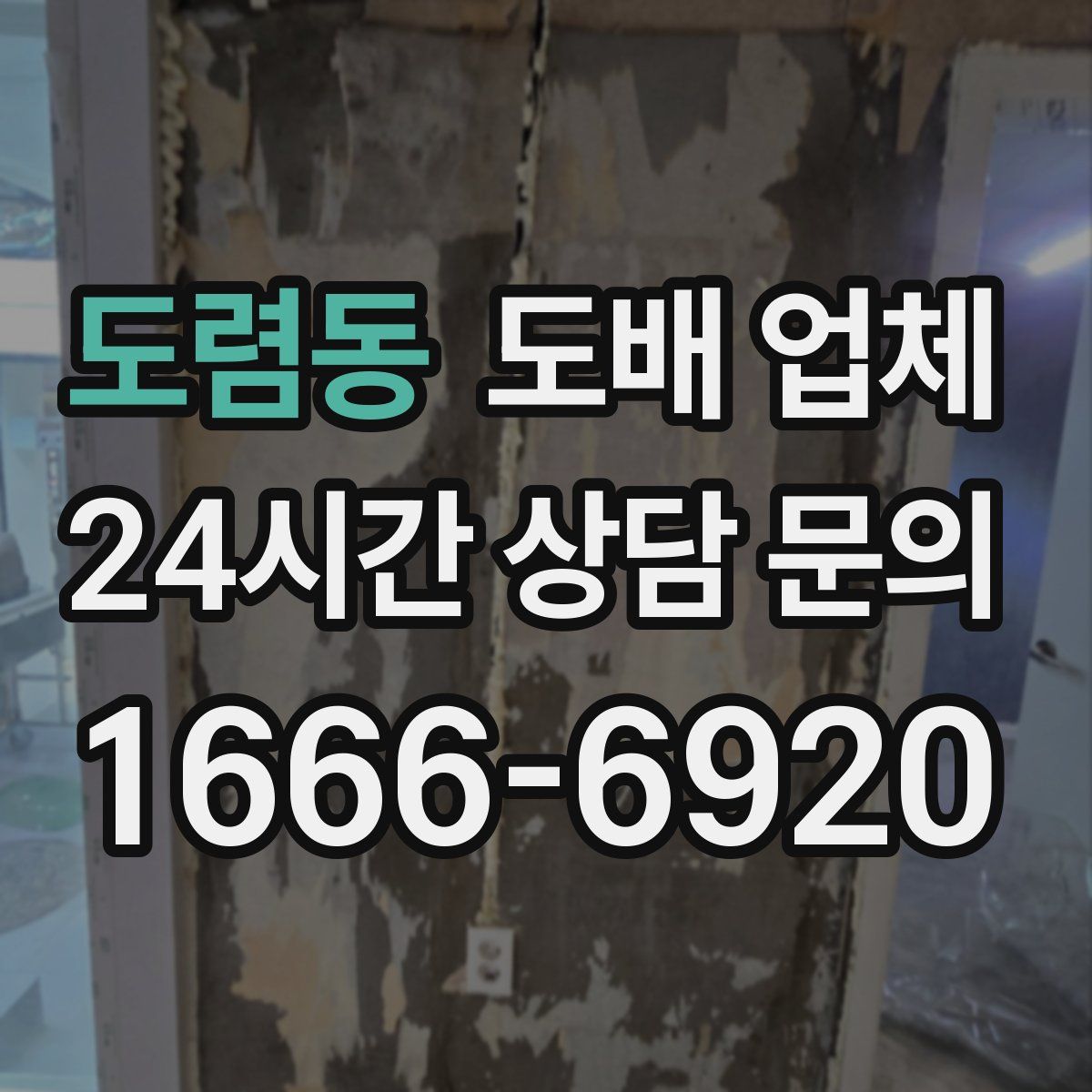 도렴동 도배 업체