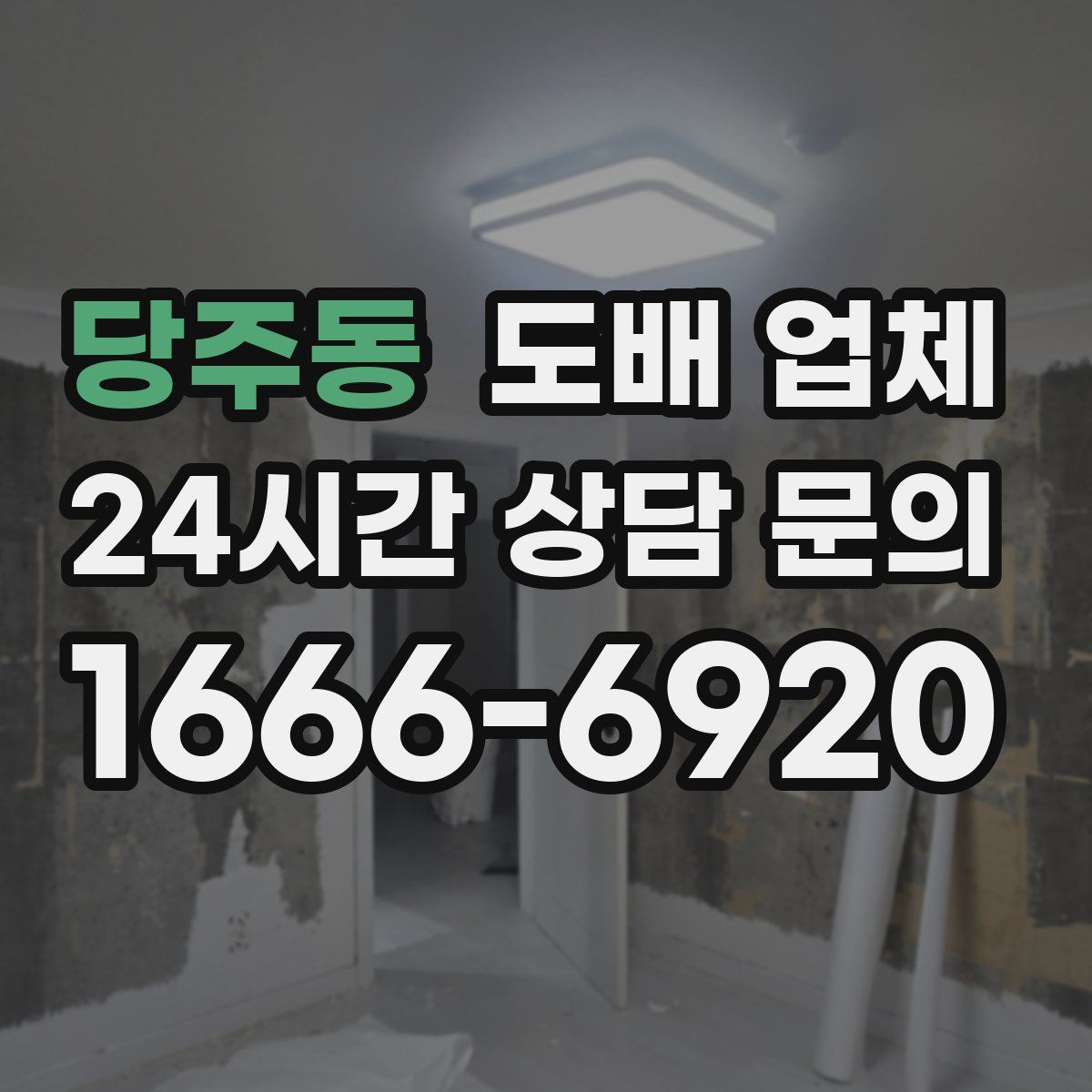 당주동 도배 업체