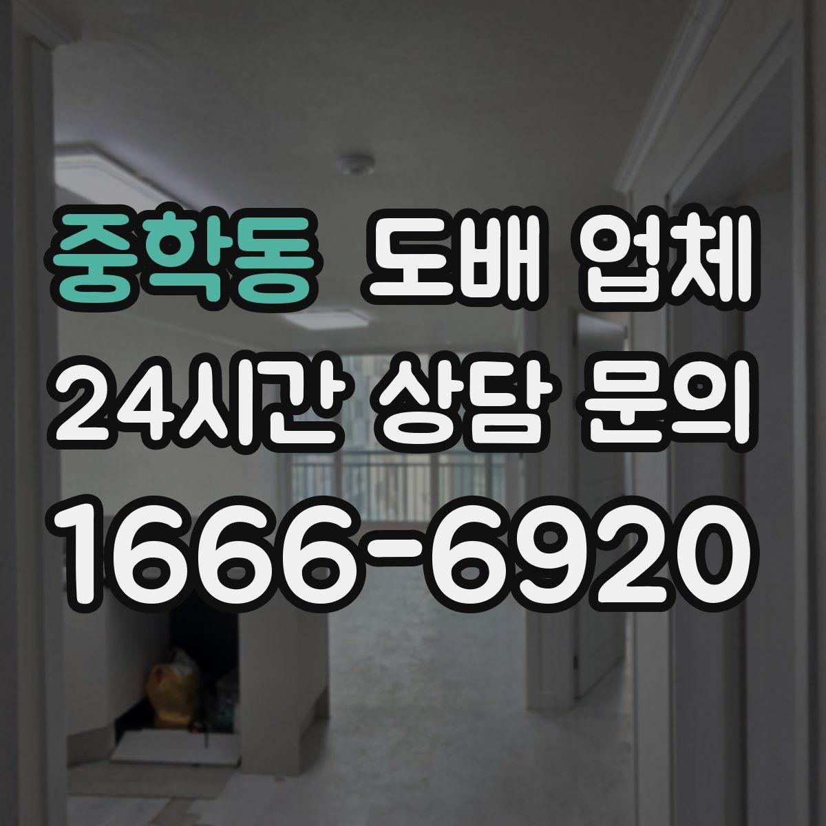 중학동 도배 업체
