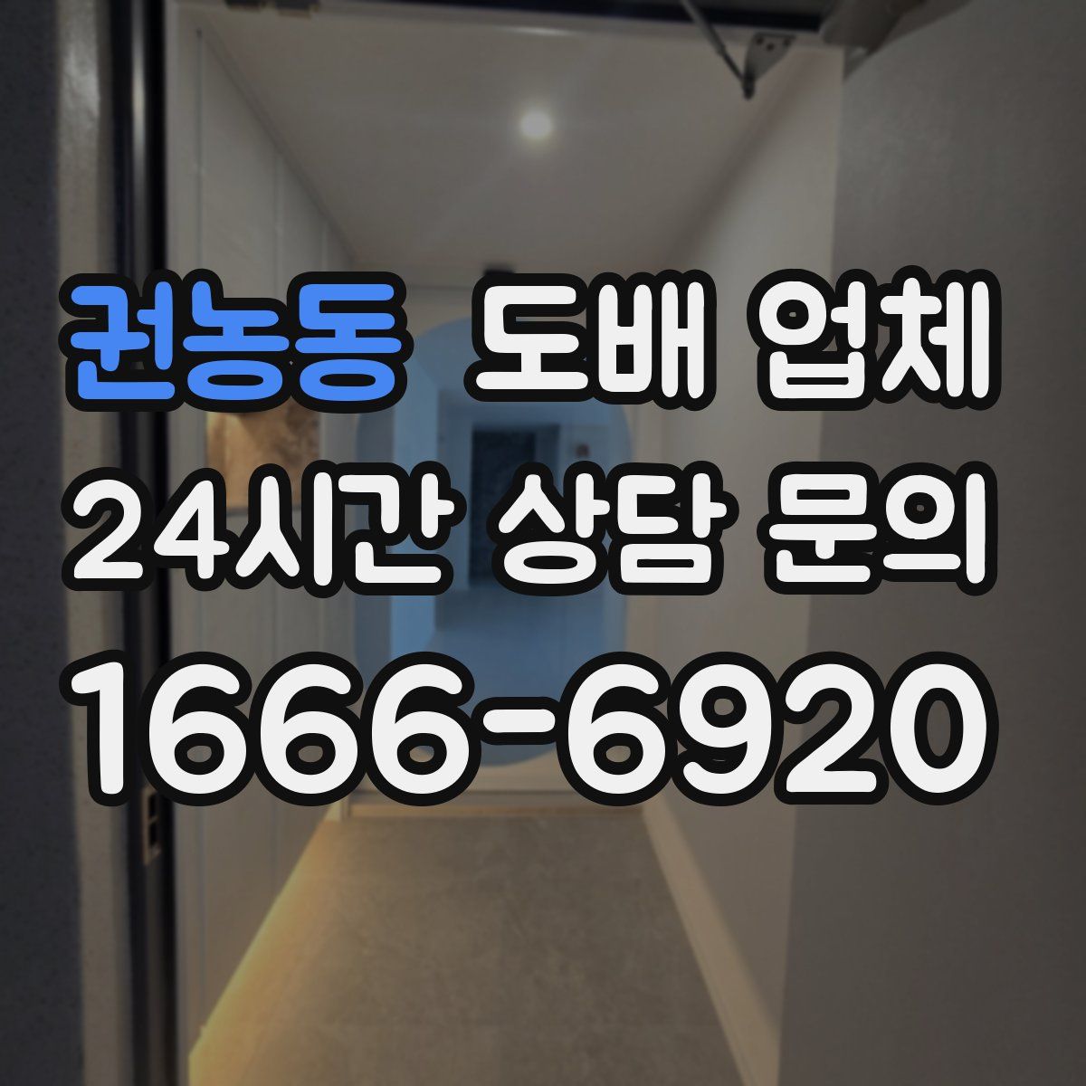 권농동 도배 업체