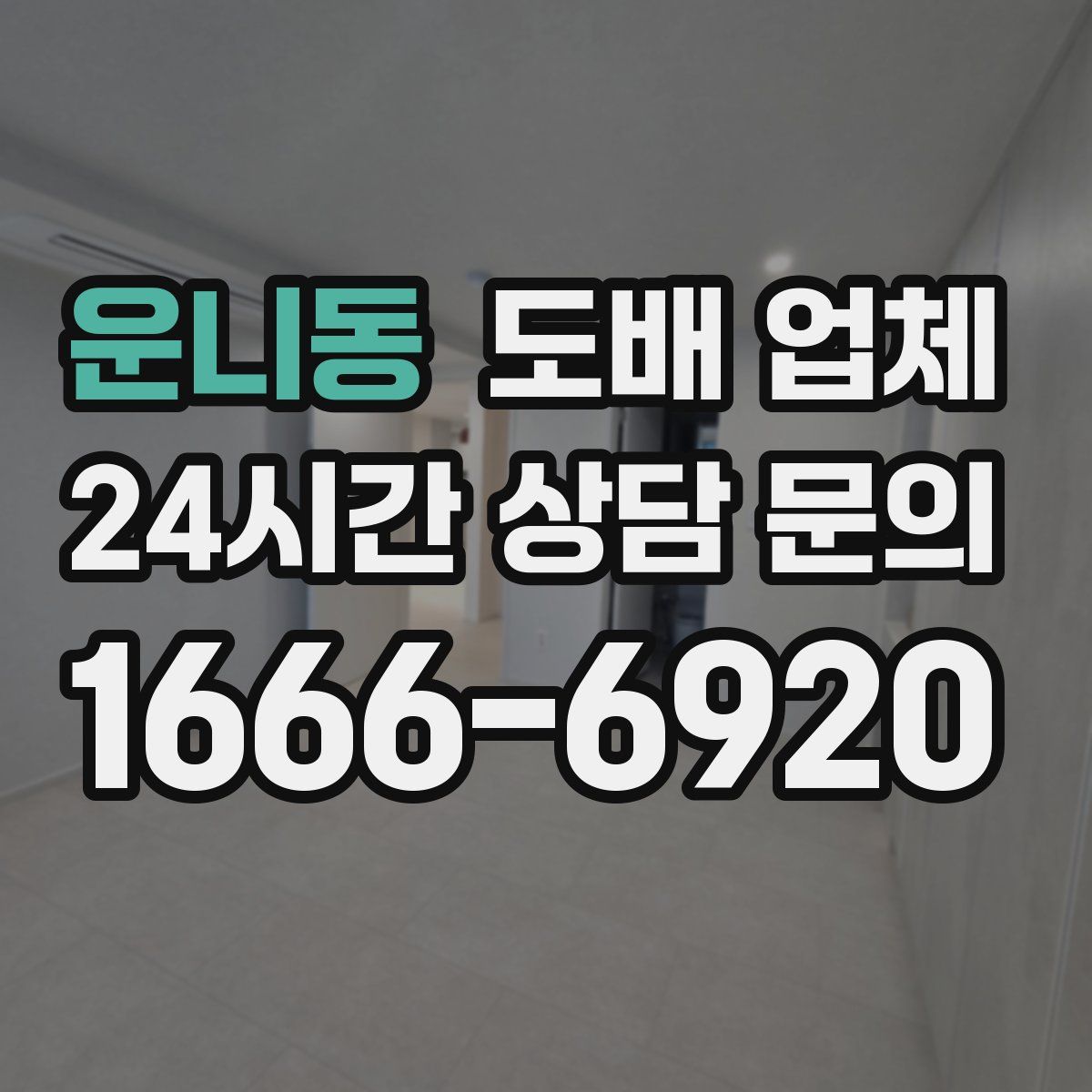 운니동 도배 업체