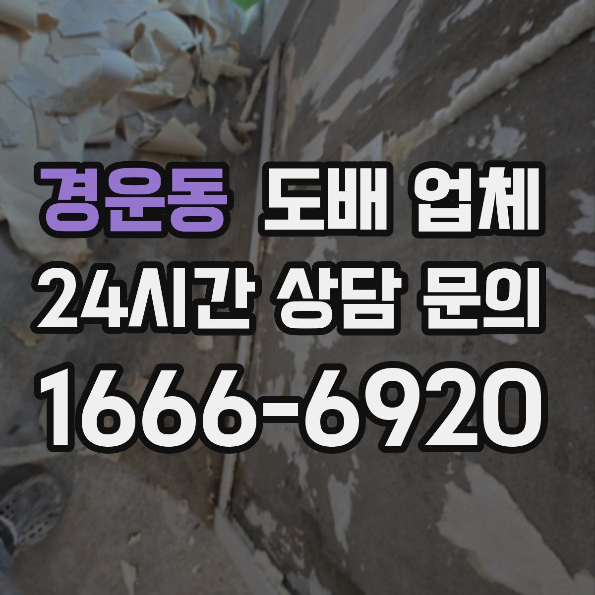 경운동 도배 업체
