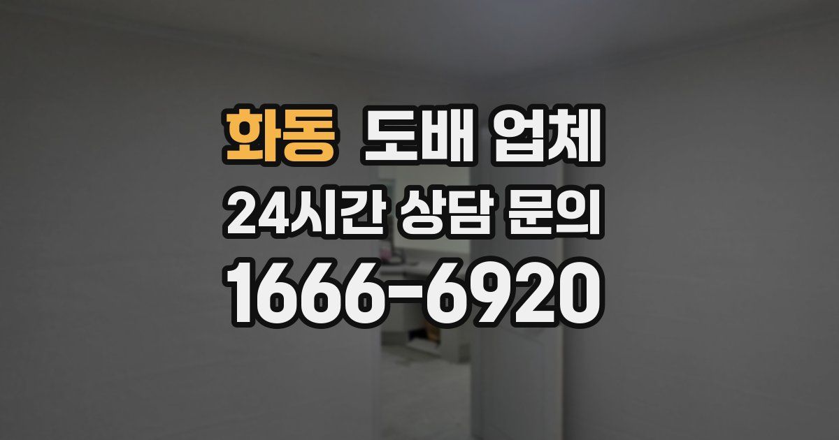 화동 도배 업체