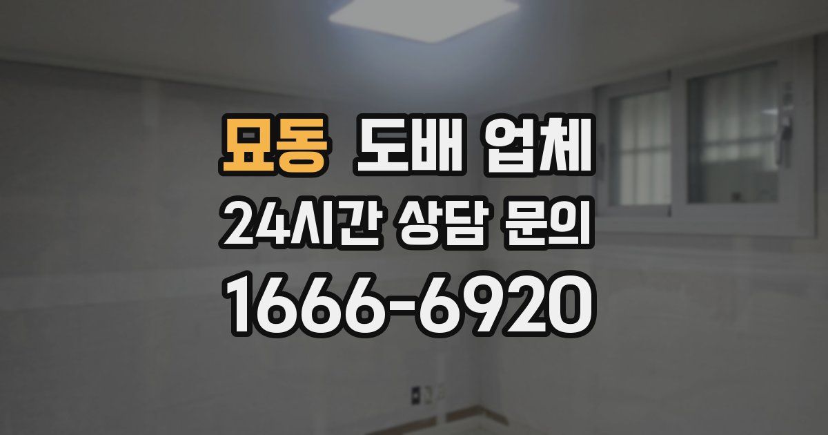 묘동 도배 업체