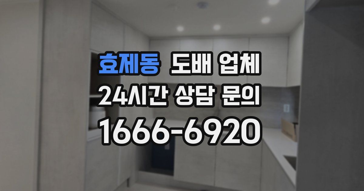 효제동 도배 업체