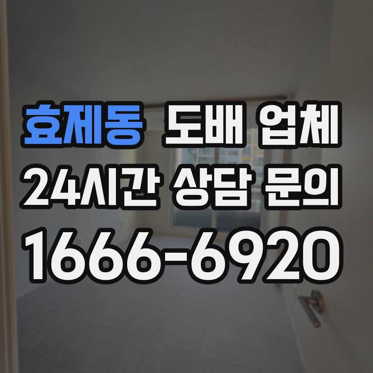 효제동 도배 업체