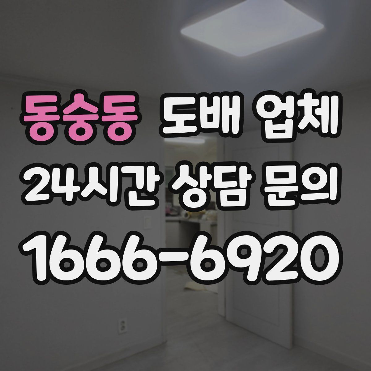동숭동 도배 업체