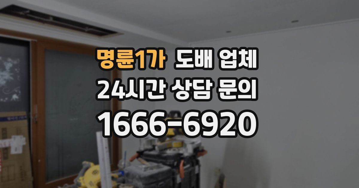 명륜1가 도배 업체