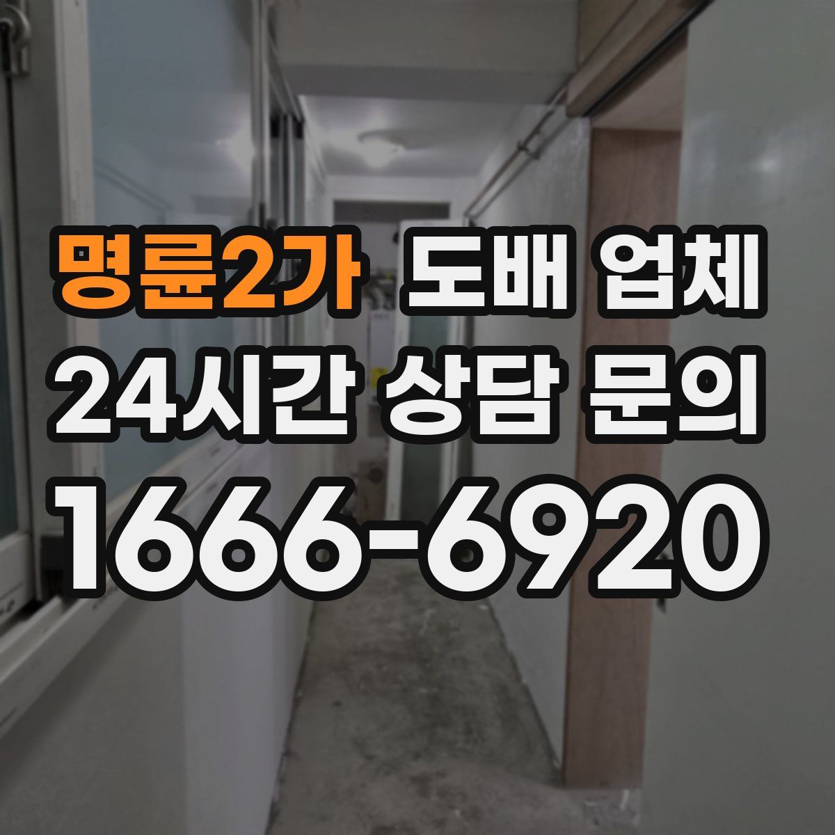 명륜2가 도배 업체