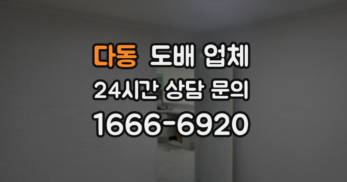 다동 도배 업체