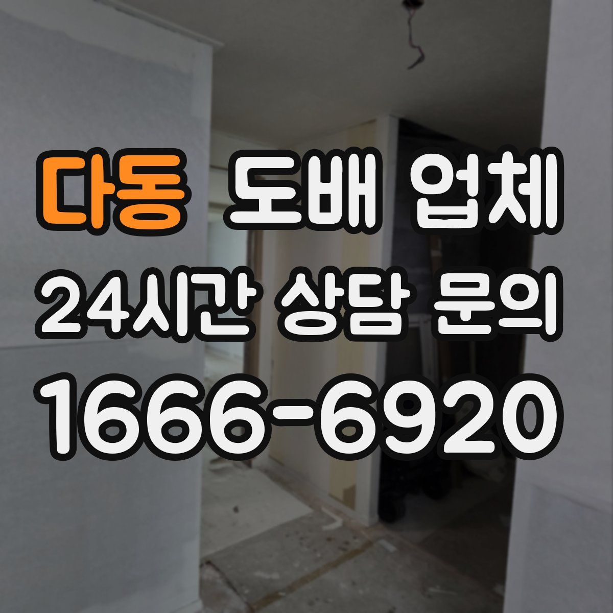 다동 도배 업체