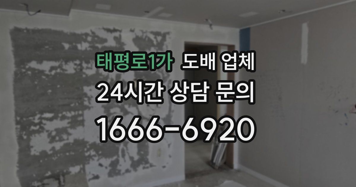 태평로1가 도배 업체