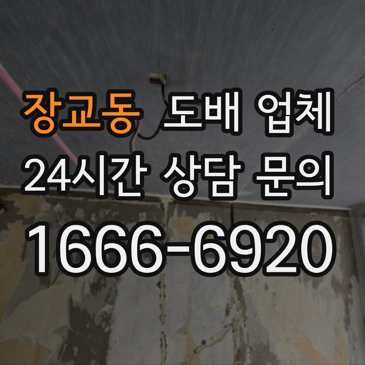 장교동 도배 업체