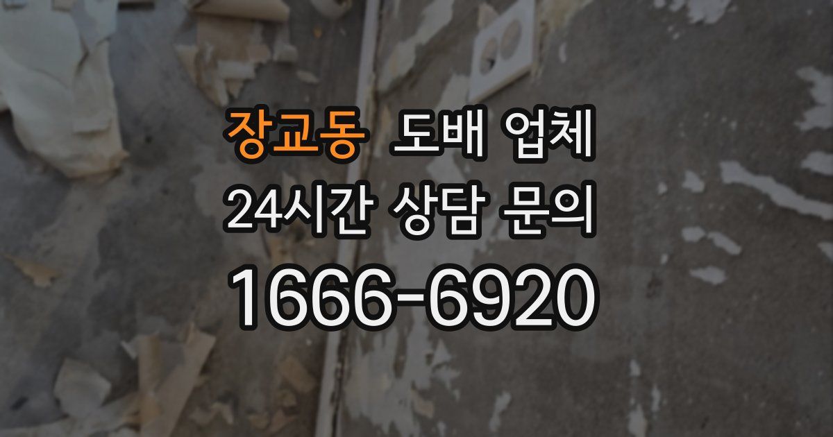 장교동 도배 업체