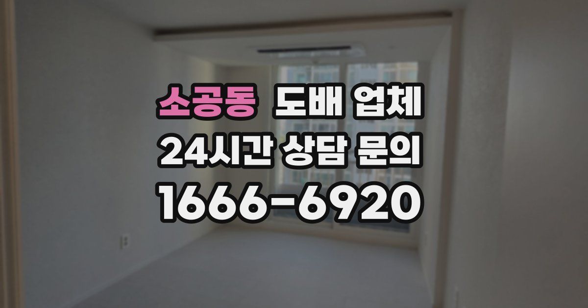 소공동 도배 업체