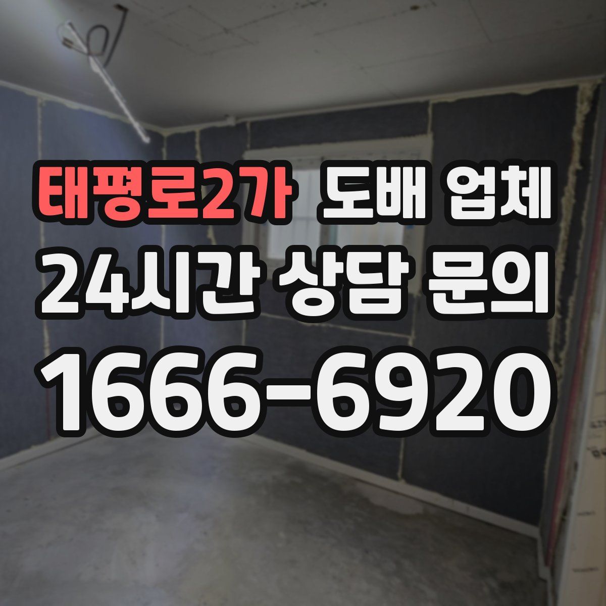 태평로2가 도배 업체