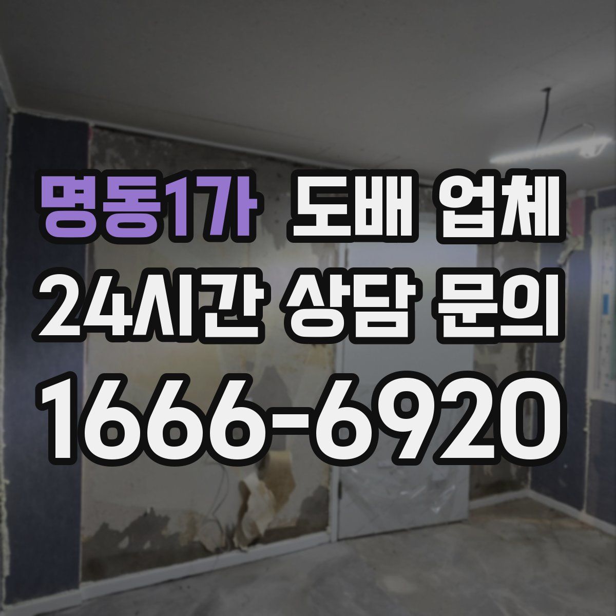 명동1가 도배 업체