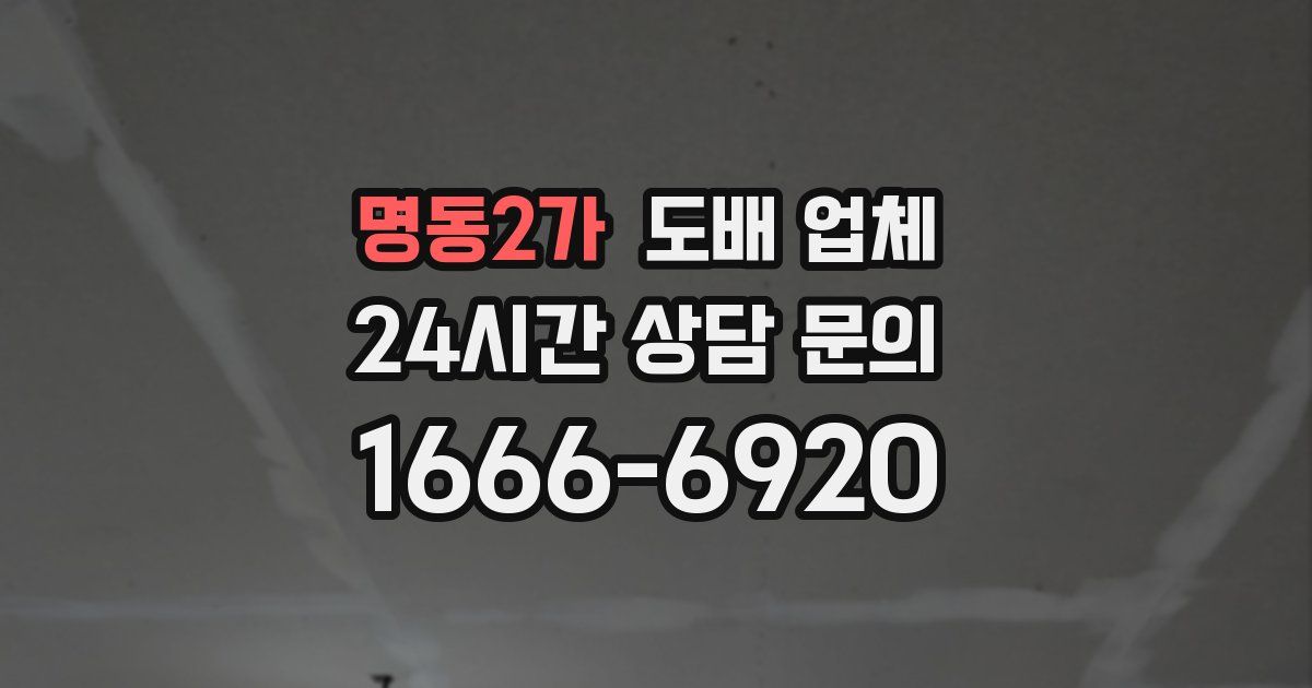 명동2가 도배 업체
