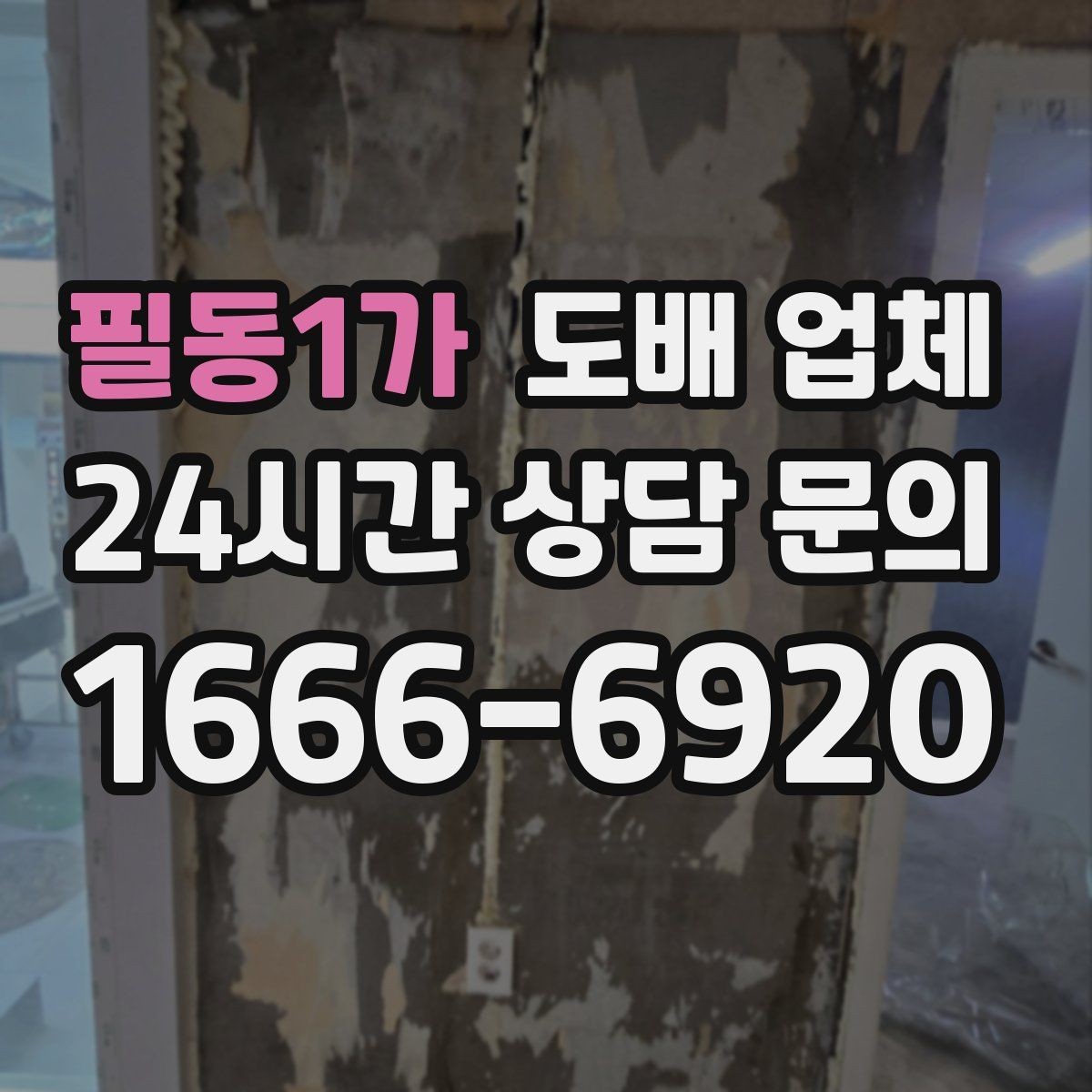 필동1가 도배 업체 현장 상황에 맞는 견적 받기