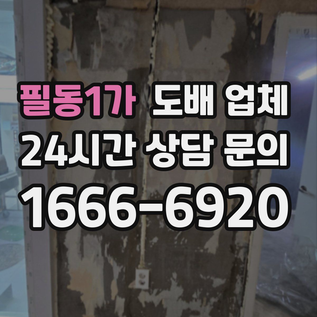 필동1가 도배 업체