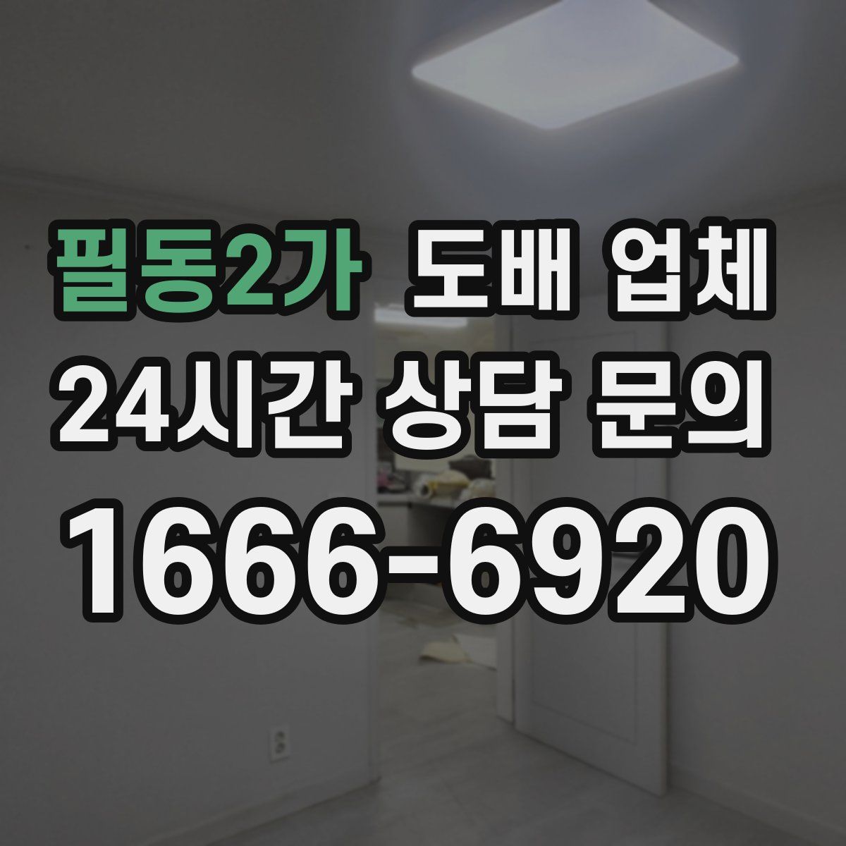 필동2가 도배 업체