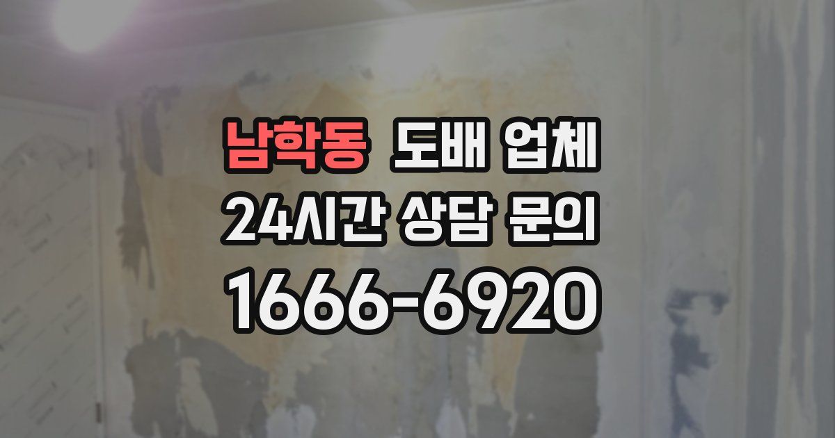 남학동 도배 업체