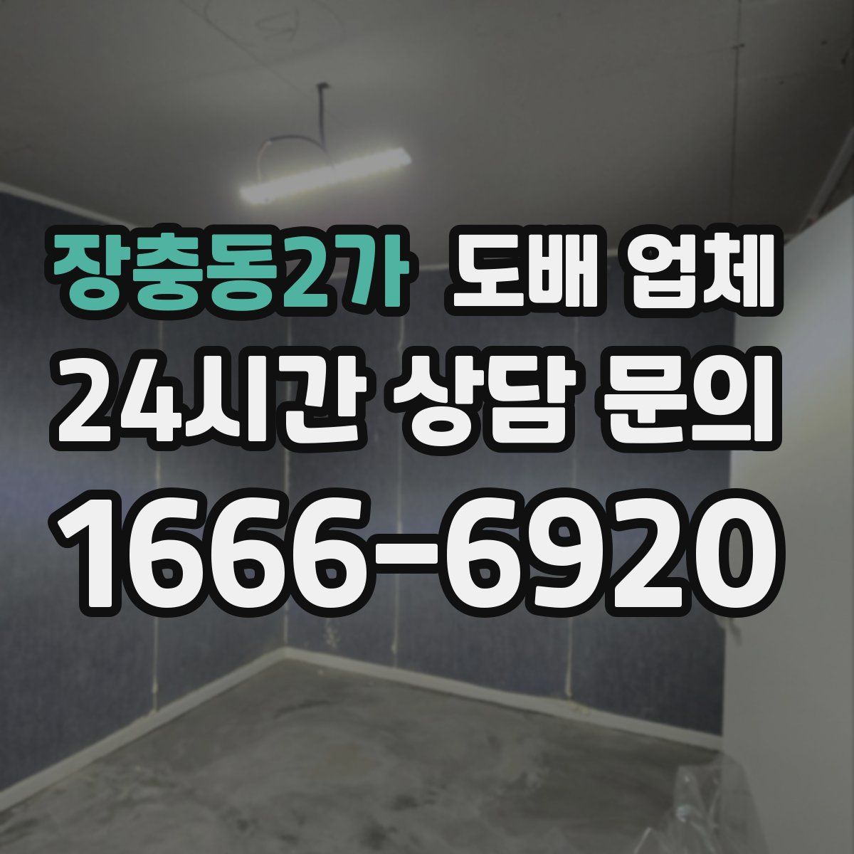 장충동2가 도배 업체