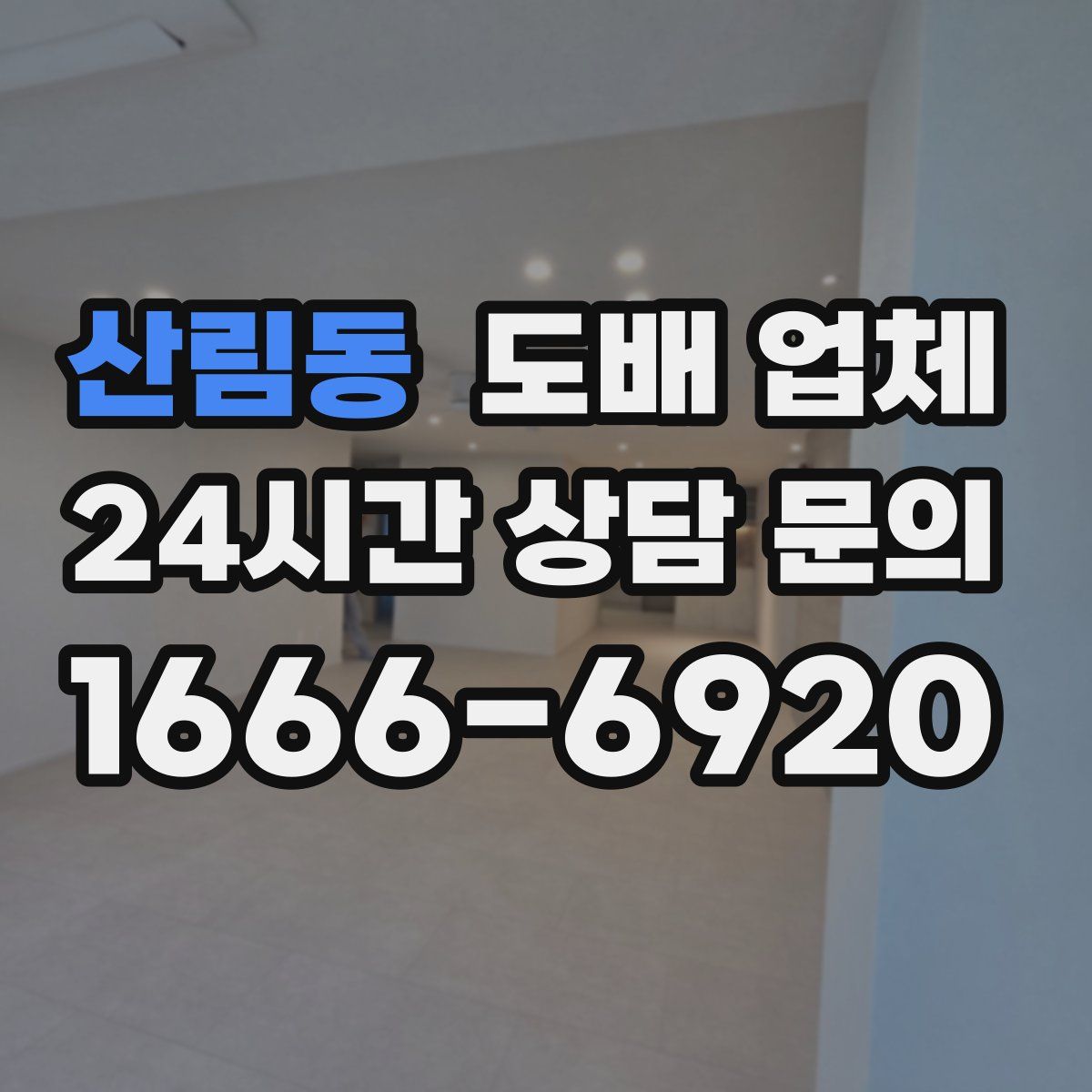 산림동 도배 업체