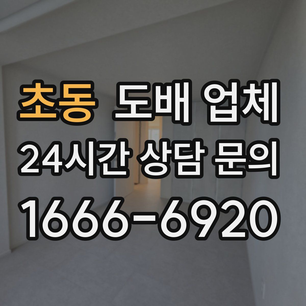 초동 도배 업체